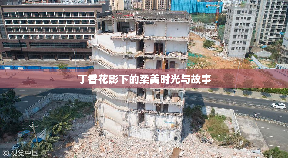 丁香花影下的柔美时光与故事