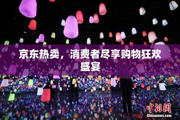 京东热卖，消费者尽享购物狂欢盛宴