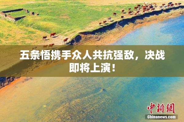 五条悟携手众人共抗强敌，决战即将上演！