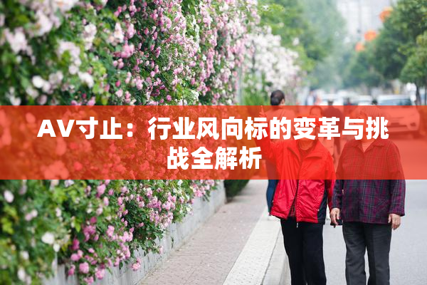 AV寸止：行业风向标的变革与挑战全解析