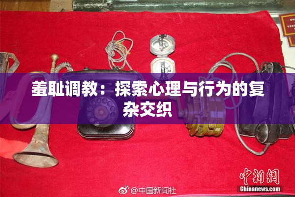 羞耻调教：探索心理与行为的复杂交织