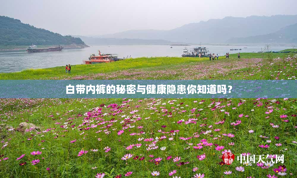 白带内裤的秘密与健康隐患你知道吗？
