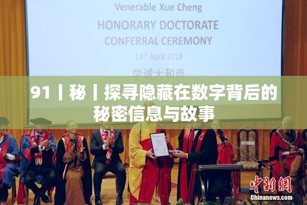 91丨秘丨探寻隐藏在数字背后的秘密信息与故事