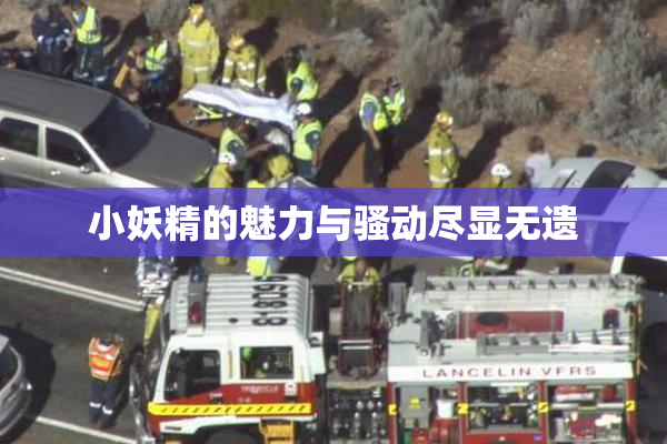 小妖精的魅力与骚动尽显无遗