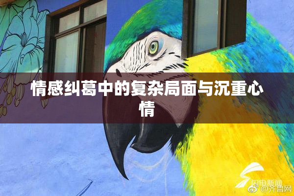 情感纠葛中的复杂局面与沉重心情