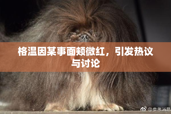 格温因某事面颊微红，引发热议与讨论