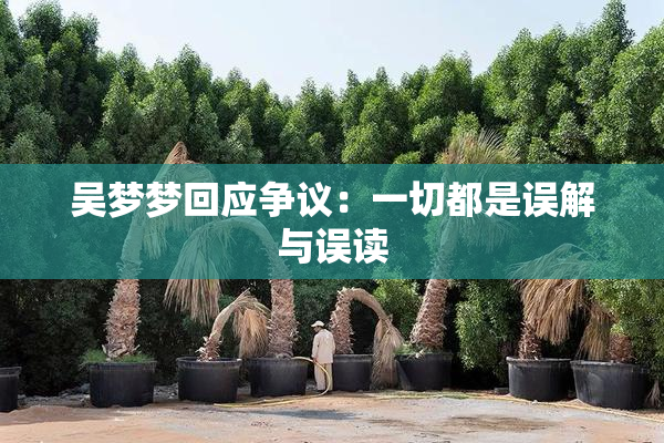 吴梦梦回应争议：一切都是误解与误读