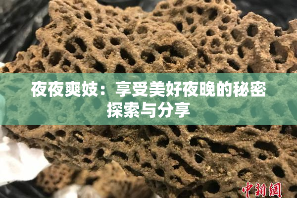 夜夜爽妓：享受美好夜晚的秘密探索与分享