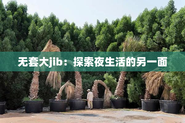 无套大jib：探索夜生活的另一面