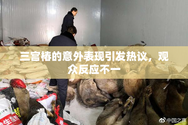 三宫椿的意外表现引发热议，观众反应不一