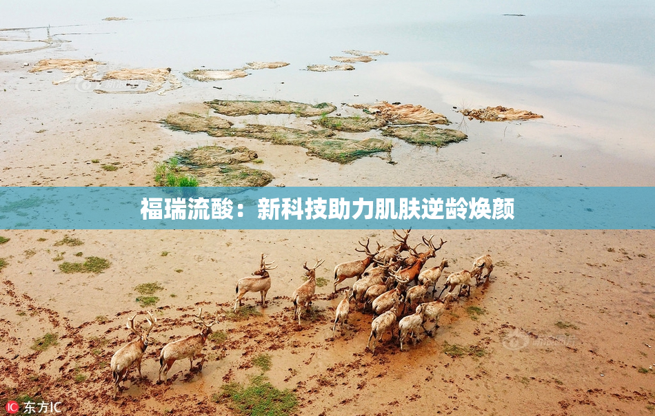 福瑞流酸：新科技助力肌肤逆龄焕颜