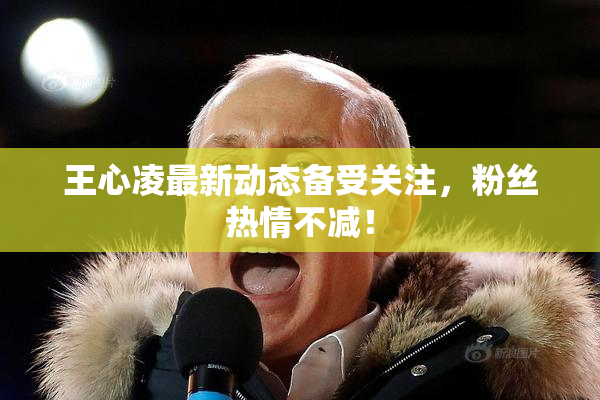 王心凌最新动态备受关注，粉丝热情不减！