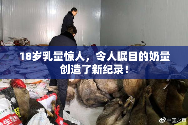 18岁乳量惊人，令人瞩目的奶量创造了新纪录！