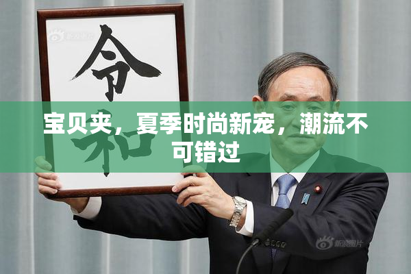 宝贝夹，夏季时尚新宠，潮流不可错过