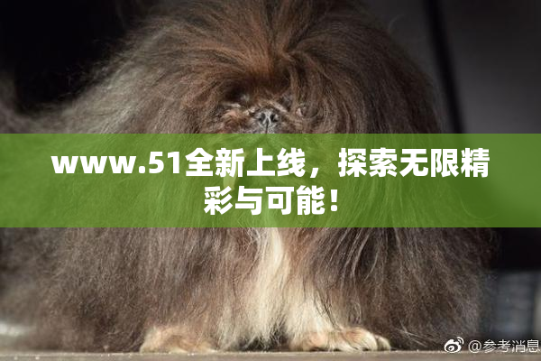 www.51全新上线，探索无限精彩与可能！