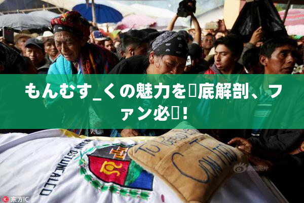 もんむす_くの魅力を徹底解剖、ファン必見！