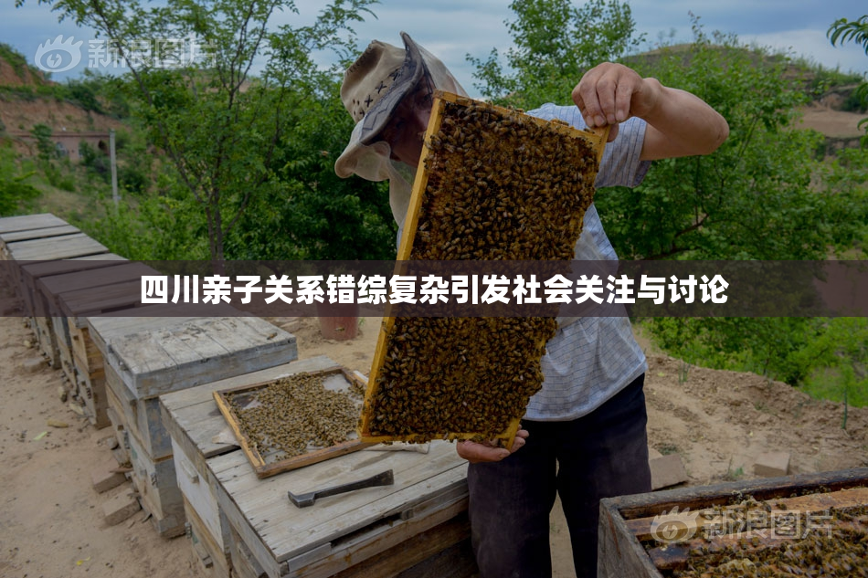 四川亲子关系错综复杂引发社会关注与讨论
