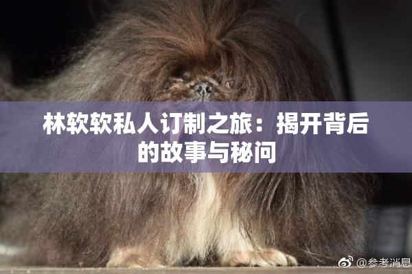 林软软私人订制之旅：揭开背后的故事与秘问