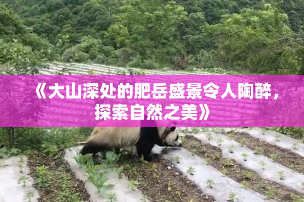 《大山深处的肥岳盛景令人陶醉，探索自然之美》