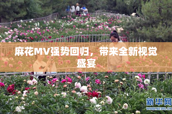 麻花MV强势回归，带来全新视觉盛宴