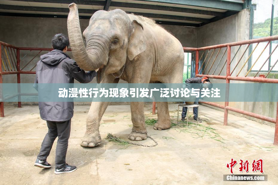 动漫性行为现象引发广泛讨论与关注