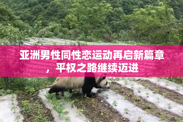 亚洲男性同性恋运动再启新篇章，平权之路继续迈进