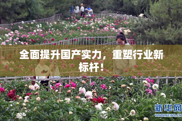 全面提升国产实力，重塑行业新标杆！
