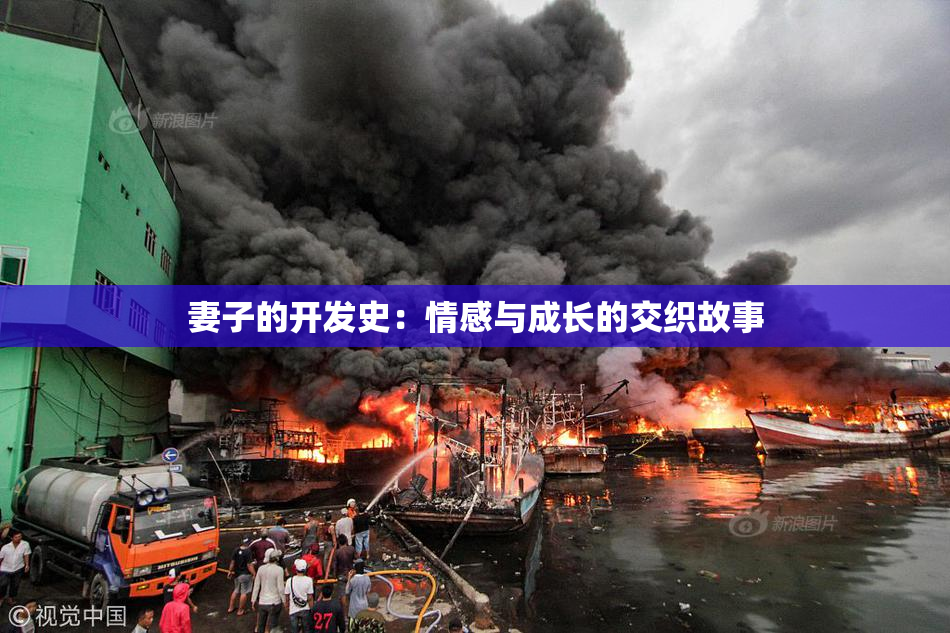 妻子的开发史：情感与成长的交织故事