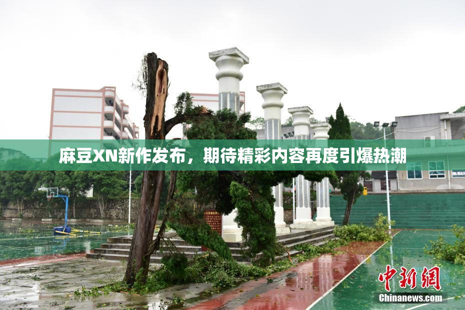 麻豆XN新作发布，期待精彩内容再度引爆热潮