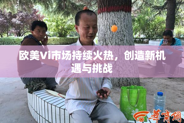 欧美Vi市场持续火热，创造新机遇与挑战