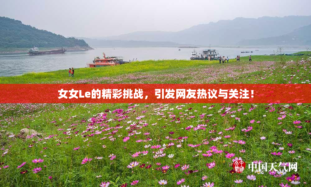 女女Le的精彩挑战，引发网友热议与关注！