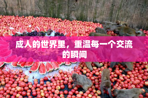 成人的世界里，重温每一个交流的瞬间