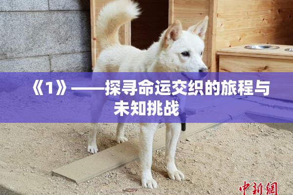 《1》——探寻命运交织的旅程与未知挑战