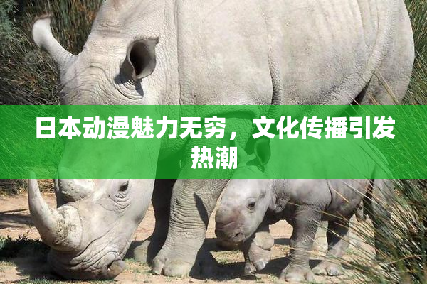 日本动漫魅力无穷，文化传播引发热潮