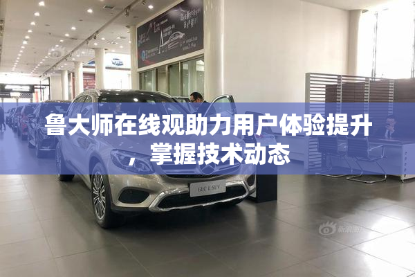 鲁大师在线观助力用户体验提升，掌握技术动态