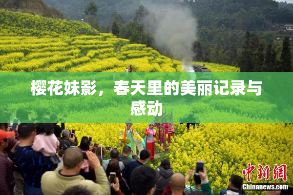 樱花妹影，春天里的美丽记录与感动