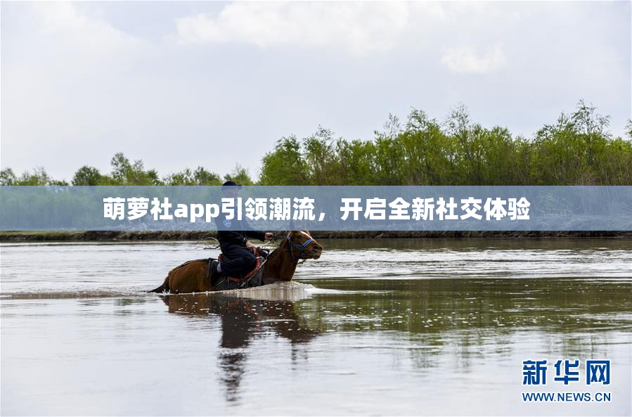 萌萝社app引领潮流，开启全新社交体验