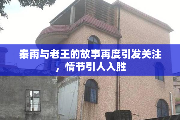秦雨与老王的故事再度引发关注，情节引人入胜