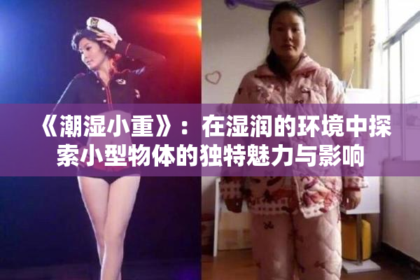 《潮湿小重》：在湿润的环境中探索小型物体的独特魅力与影响