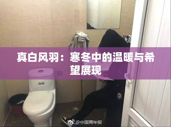 真白风羽：寒冬中的温暖与希望展现