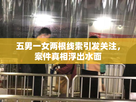 五男一女两根线索引发关注，案件真相浮出水面
