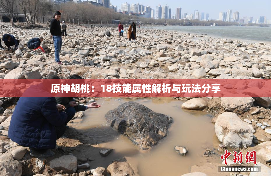 原神胡桃：18技能属性解析与玩法分享