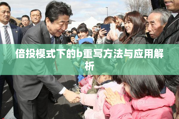 倍投模式下的b重写方法与应用解析