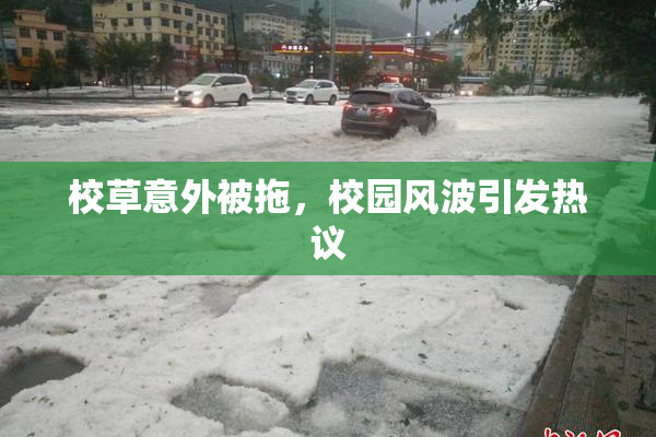 校草意外被拖，校园风波引发热议
