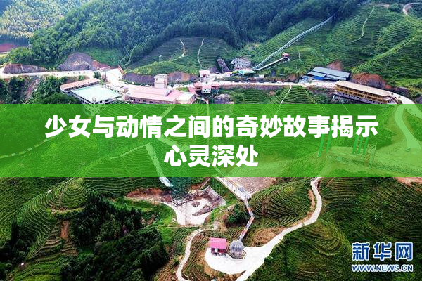 少女与动情之间的奇妙故事揭示心灵深处