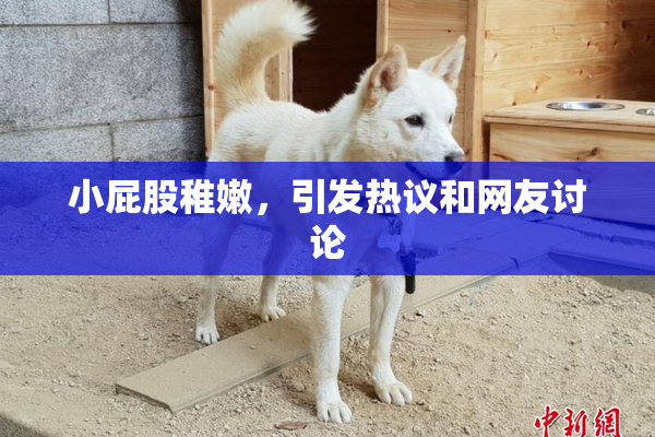 小屁股稚嫩，引发热议和网友讨论