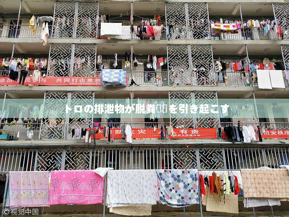 トロの排泄物が脱粪問題を引き起こす