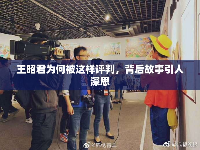 王昭君为何被这样评判，背后故事引人深思