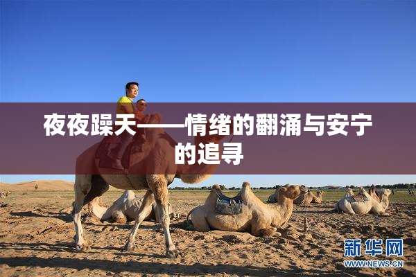 夜夜躁天——情绪的翻涌与安宁的追寻