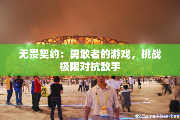 无畏契约：勇敢者的游戏，挑战极限对抗敌手